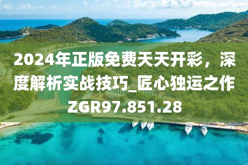 2024年正版免费天天开彩，深度解析实战技巧_匠心独运之作ZGR97.851.28