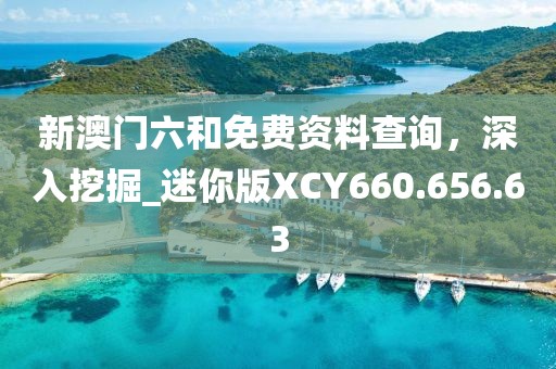 新澳门六和免费资料查询，深入挖掘_迷你版XCY660.656.63