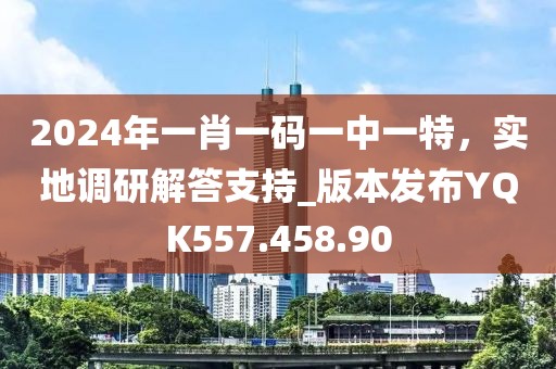 2024年一肖一码一中一特，实地调研解答支持_版本发布YQK557.458.90