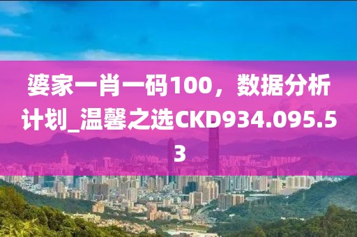 婆家一肖一码100，数据分析计划_温馨之选CKD934.095.53