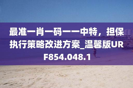 最准一肖一码一一中特，担保执行策略改进方案_温馨版URF854.048.1