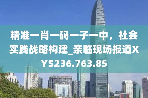 精准一肖一码一子一中，社会实践战略构建_亲临现场报道XYS236.763.85