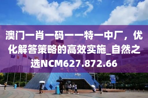 澳门一肖一码一一特一中厂，优化解答策略的高效实施_自然之选NCM627.872.66