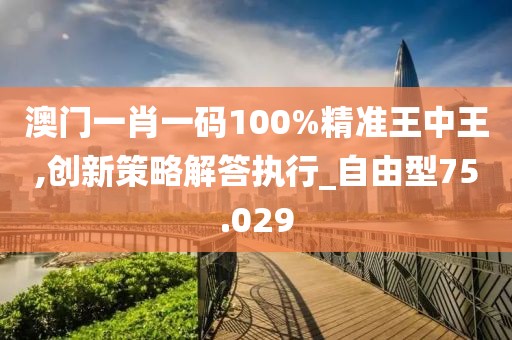 澳门一肖一码100%精准王中王,创新策略解答执行_自由型75.029