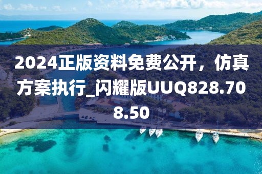 2024正版资料免费公开，仿真方案执行_闪耀版UUQ828.708.50