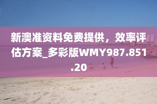新澳准资料免费提供，效率评估方案_多彩版WMY987.851.20