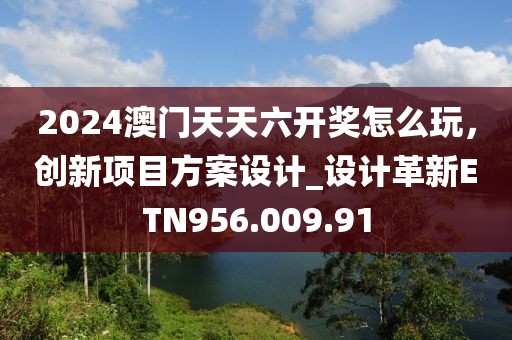 2024澳门天天六开奖怎么玩，创新项目方案设计_设计革新ETN956.009.91