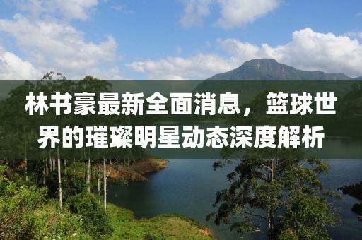 林书豪最新全面消息，篮球世界的璀璨明星动态深度解析