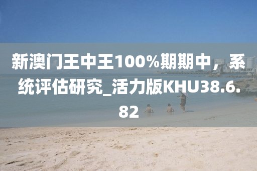 新澳门王中王100%期期中，系统评估研究_活力版KHU38.6.82