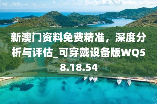 新澳门资料免费精准，深度分析与评估_可穿戴设备版WQ58.18.54
