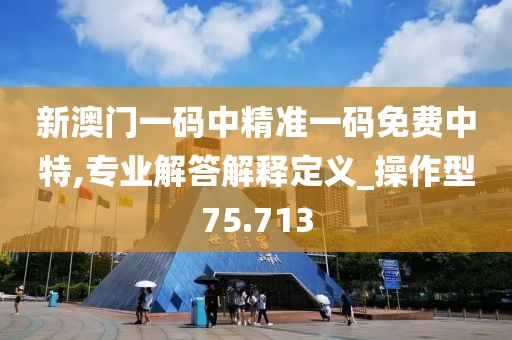 新澳门一码中精准一码免费中特,专业解答解释定义_操作型75.713