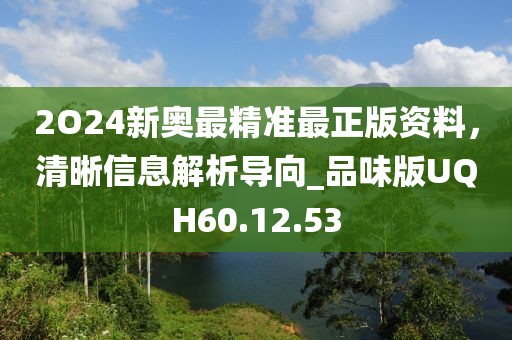2O24新奥最精准最正版资料，清晰信息解析导向_品味版UQH60.12.53