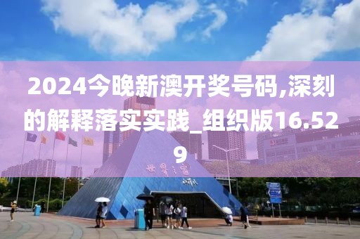 2024今晚新澳开奖号码,深刻的解释落实实践_组织版16.529