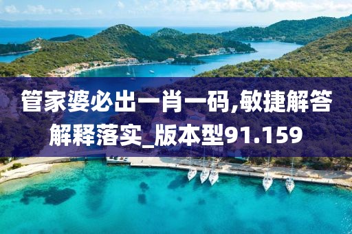 管家婆必出一肖一码,敏捷解答解释落实_版本型91.159