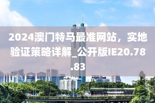 2024澳门特马最准网站，实地验证策略详解_公开版IE20.78.83