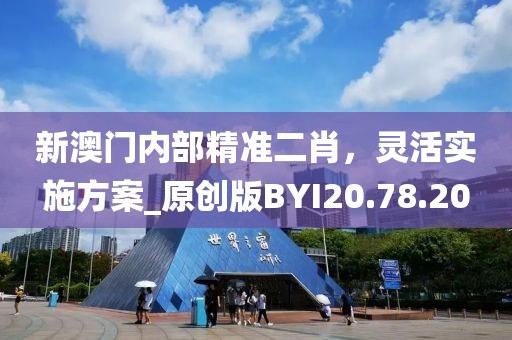新澳门内部精准二肖，灵活实施方案_原创版BYI20.78.20