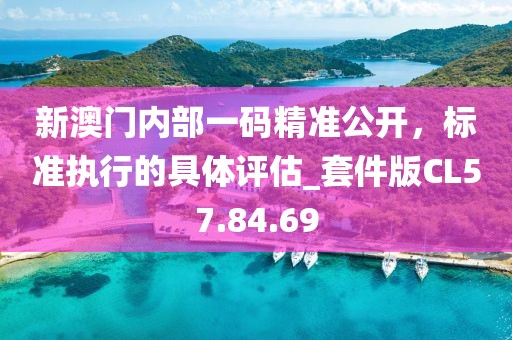 新澳门内部一码精准公开，标准执行的具体评估_套件版CL57.84.69