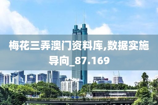 梅花三弄澳门资料库,数据实施导向_87.169