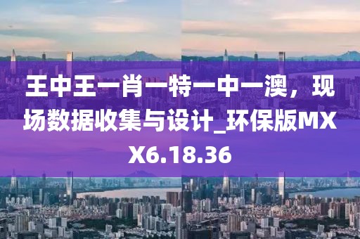 王中王一肖一特一中一澳，现场数据收集与设计_环保版MXX6.18.36