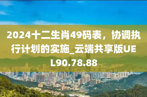 2024十二生肖49码表，协调执行计划的实施_云端共享版UEL90.78.88