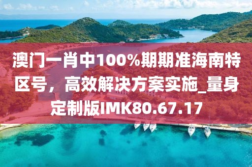 澳门一肖中100%期期准海南特区号，高效解决方案实施_量身定制版IMK80.67.17
