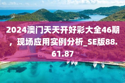 2024澳门天天开好彩大全46期，现场应用实例分析_SE版88.61.87