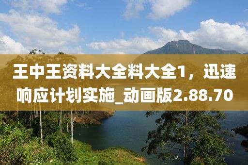 王中王资料大全料大全1，迅速响应计划实施_动画版2.88.70