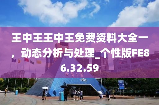 王中王王中王免费资料大全一，动态分析与处理_个性版FE86.32.59