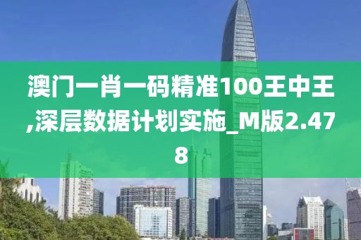 澳门一肖一码精准100王中王,深层数据计划实施_M版2.478