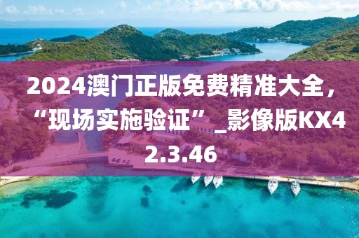 2024澳门正版免费精准大全，“现场实施验证”_影像版KX42.3.46