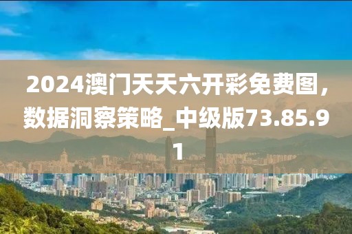 2024澳门天天六开彩免费图，数据洞察策略_中级版73.85.91