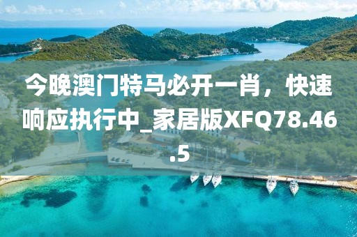 今晚澳门特马必开一肖，快速响应执行中_家居版XFQ78.46.5