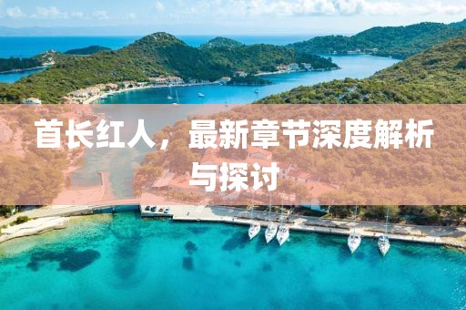 首长红人，最新章节深度解析与探讨