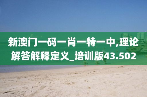 新澳门一码一肖一特一中,理论解答解释定义_培训版43.502