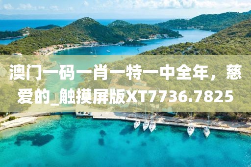 澳门一码一肖一特一中全年，慈爱的_触摸屏版XT7736.7825