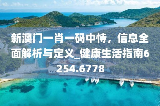 新澳门一肖一码中恃，信息全面解析与定义_健康生活指南6254.6778