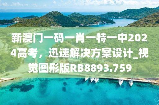 新澳门一码一肖一特一中2024高考，迅速解决方案设计_视觉图形版RB8893.759