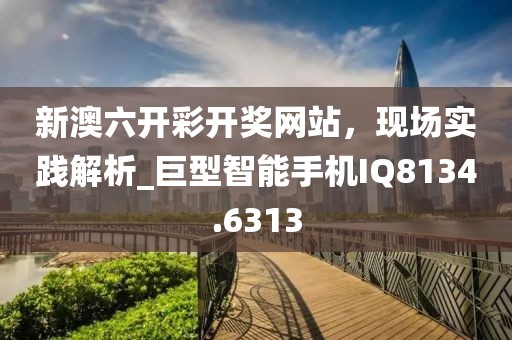 新澳六开彩开奖网站，现场实践解析_巨型智能手机IQ8134.6313
