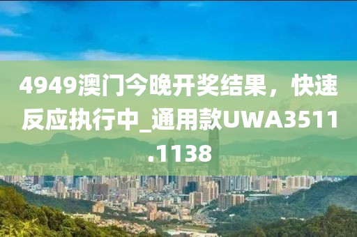 4949澳门今晚开奖结果，快速反应执行中_通用款UWA3511.1138