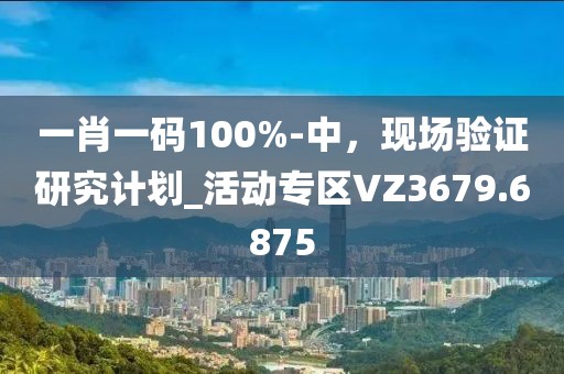 一肖一码100%-中，现场验证研究计划_活动专区VZ3679.6875