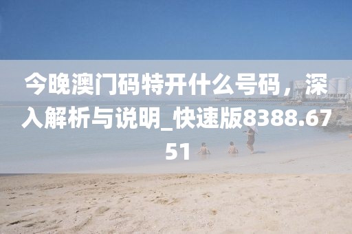 今晚澳门码特开什么号码，深入解析与说明_快速版8388.6751