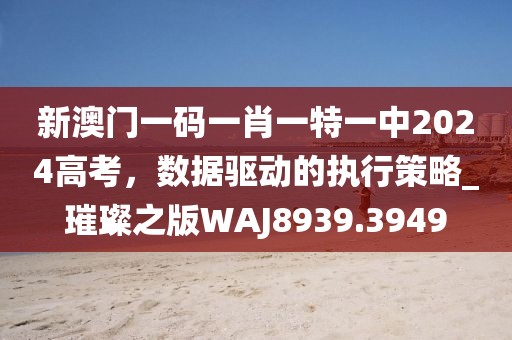 新澳门一码一肖一特一中2024高考，数据驱动的执行策略_璀璨之版WAJ8939.3949