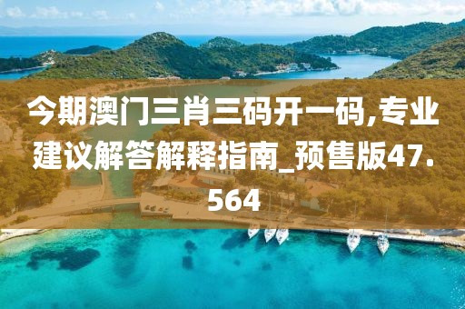 今期澳门三肖三码开一码,专业建议解答解释指南_预售版47.564