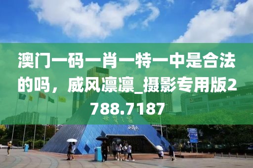 澳门一码一肖一特一中是合法的吗，威风凛凛_摄影专用版2788.7187