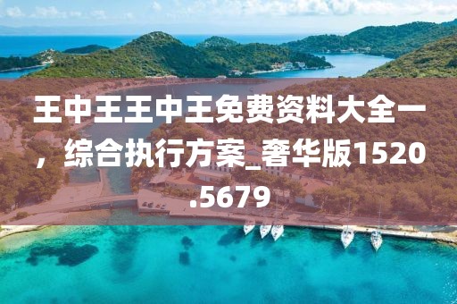 王中王王中王免费资料大全一，综合执行方案_奢华版1520.5679