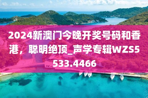 2024新澳门今晚开奖号码和香港，聪明绝顶_声学专辑WZS5533.4466