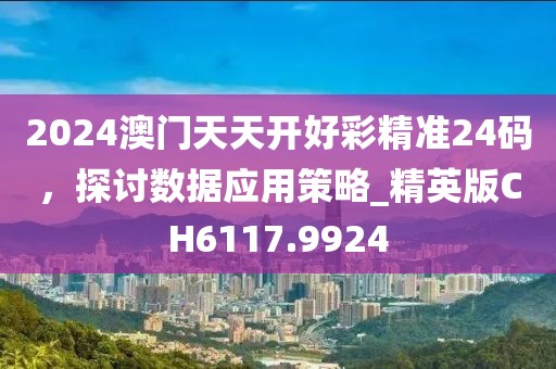 2024澳门天天开好彩精准24码，探讨数据应用策略_精英版CH6117.9924