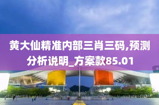 黄大仙精准内部三肖三码,预测分析说明_方案款85.01