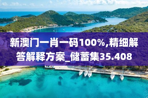 新澳门一肖一码100%,精细解答解释方案_储蓄集35.408