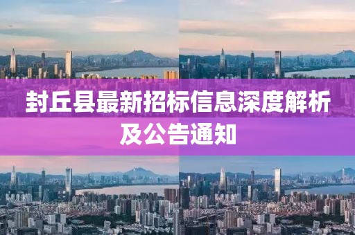 封丘县最新招标信息深度解析及公告通知